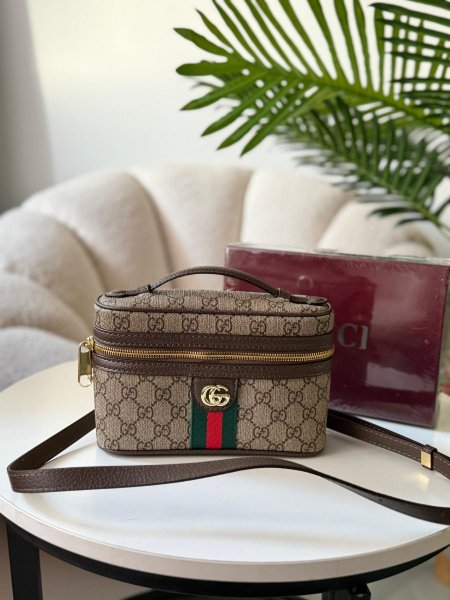 حقيبةً جوتشي ميني