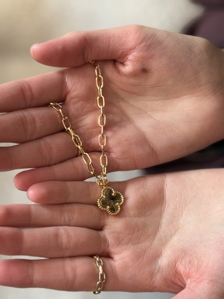 سنسال فان كليف مع ڤيبر كليب