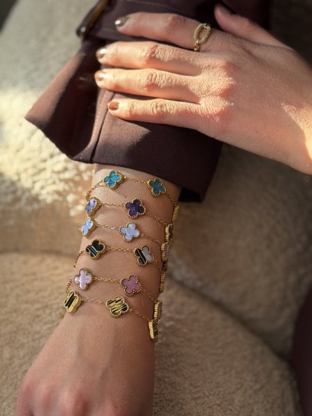 اساور فان مليف