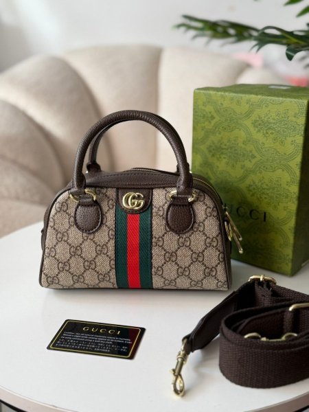 حقيبة جوتشي ميني